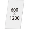 66969037