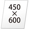 66969064