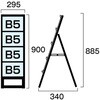 66972905