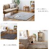 YASG-0920(CGY) 抗菌 防臭 防ダニ さらふわ 洗える シャギーラグマット YAMAZEN(山善) 67132269