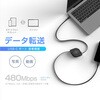 AJ-678 USB充電&同期ケーブル 1.2m C-C PD100W BK カシムラ 67162326