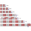 67316437,67316446,67316455,67316464,67316473,67316489,67316498