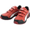 64.244.0 C_[ 2.0 [ PUMA SAFETY(v[}Z[teB) 67322073
