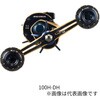 100H-DH 21 �\���e�B�KIC DAIWA(�_�C��) 67660918