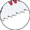 68079803