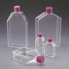 IWAKI フラスコ