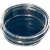 150460 �זE�|�{�y�g���f�B�b�V�� Thermo Fisher Scientific 68405234