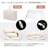 850-18 持ち手付羽毛布団保存ケース アストロ 68422405