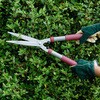 Hedge Shears 8 Garden Life �}�؃n�T�~ �K�[�f�j���O