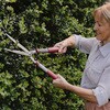 00145 Hedge Shears 8 Garden Life �}�؃n�T�~ �K�[�f�j���O Kent & Stowe 68432056