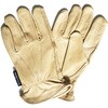 Luxury Leather Water Resistant Gloves Ladies ϐO[u fB[X S/MTCY