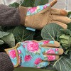 00552 Premium Comfort Gloves Peony �v���~�A���K�[�f�j���O�O���[�u �s�I�j�[ S/M�T�C�Y Kent & Stowe 68432546