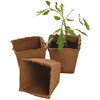 Fibre Pot Square t@Co[|bg lp 8cm~12