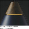 AP45526L ペンダントライト コイズミ(小泉成器) 68474823