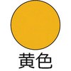 68519927,68520094