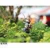 Insect bot Seeed Studio