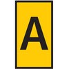 68600457
