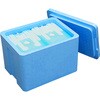 BCF21BL-0D-2 発泡スチロール製クーラーボックス バイオクールフレッシュ21 ブルー 保冷材付き トレンドサイン 68636027