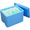 BCF21BL-16D-2 発泡スチロール製クーラーボックス バイオクールフレッシュ21 ブルー 保冷材付き トレンドサイン 68636036