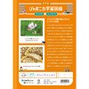 JL-49 ジャポニカ学習帳 B5 漢字練習 ショウワノート 68737071