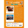 JL-50-2L ジャポニカ学習帳 B5 漢字練習 ショウワノート 68737080