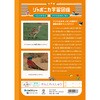 JL-49-1 ジャポニカ学習帳 B5 漢字練習 ショウワノート 68737116
