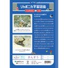 JL-2-1L ジャポニカ学習帳 B5 算数 ショウワノート 68737281