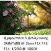 - Y AF 35mm F1.4 P \j[ FE}Eg LK SAMYANG(T) 68751028