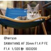 - Y AF 35mm F1.4 P \j[ FE}Eg LK SAMYANG(T) 68751028