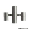 LLP-7108LUM ポールスポットライト 灯具本体 2灯用 非調光タイプ DAIKO(大光電機) 68756865