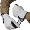 AG046 rv rNXg}WbN Aet ACE GLOVE(G[XO[u) 68766051