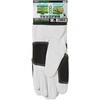 AG046 rv rNXg}WbN Aet ACE GLOVE(G[XO[u) 68766026