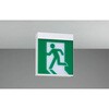 FBK-10702L-LS17 �����ԓV�ǒ��t���ʗU���� ���Ń��C�e�b�N 68840339