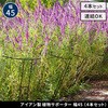IF-N0047-4P プランツサポーター スチール製 幅45cm 住まいスタイル 68927988