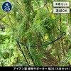 IF-N0048-4P プランツサポーター スチール製 幅35cm 住まいスタイル 68928015