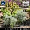 IF-N0049-16P プランツサポーター スチール製 幅25cm 住まいスタイル 68928067