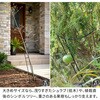 IF-N0049-16P プランツサポーター スチール製 幅25cm 住まいスタイル 68928067