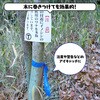 - 識別テープ 来るなら濃い 3巻 松浦産業 68931838