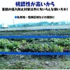 - 識別テープ 来るなら濃い 3巻 松浦産業 68931838