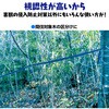 - 識別テープ 来るなら濃い 3巻 松浦産業 68931838