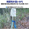 - 識別テープ 来るなら濃い 3巻 松浦産業 68931838