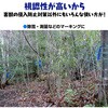 - 識別テープ 来るなら濃い 3巻 松浦産業 68931838
