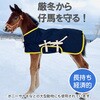 LTH-02M 仔馬用 馬服 ライフテースト 68941069