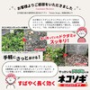 - ネコソギロングシャワーV9 レインボー薬品 77673427