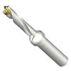 DE10-D0900-090A12-5 CoroDrill DE10�w�b�h�������h����(446) SANDVIK 68989317