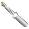 DE10-D0900-090O12-5 CoroDrill DE10�w�b�h�������h����(446) SANDVIK 68989351
