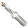 DE10-D1000-100L16-5 CoroDrill DE10�w�b�h�������h����(446) SANDVIK 68989439