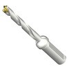 DE10-D1000-100L16-8 CoroDrill DE10�w�b�h�������h����(446) SANDVIK 68989448