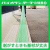 Y09CL 200MMX25M 塗装・建築養生用テープ クリア ダイヤテックス 69037477