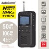RAD-P500N-H Nラジオ ポケット P500 AM/FM対応 高感度デジタルラジオ オーム電機 69088936
